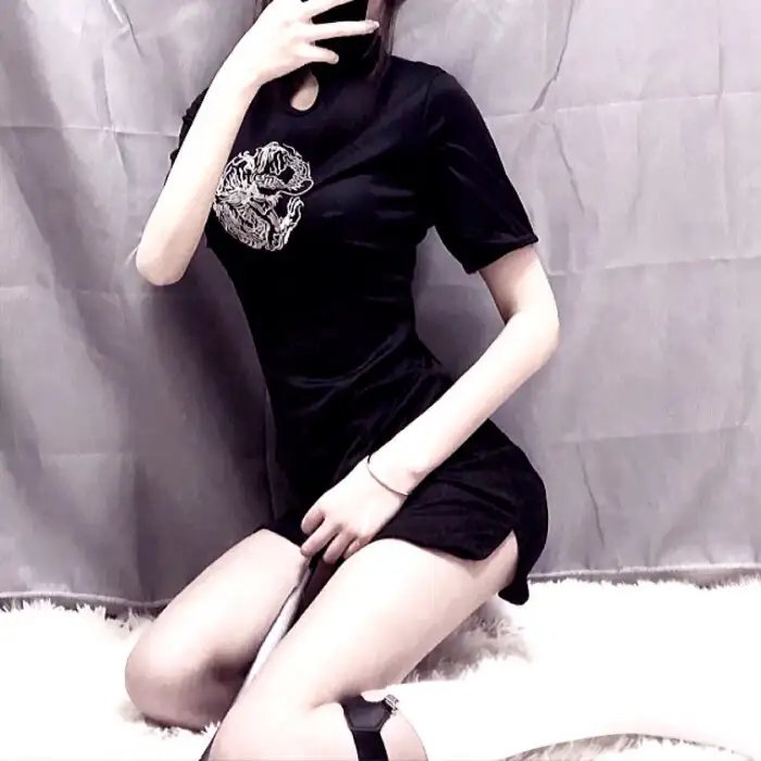 凤皇传